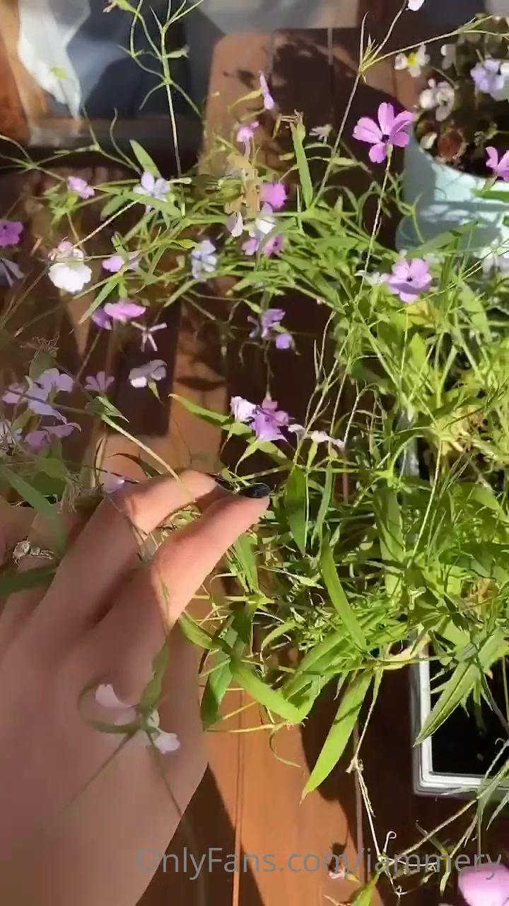 My Flowers