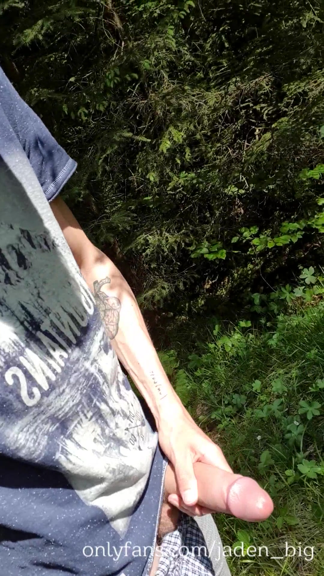 Nice Forest Wank In The Sun