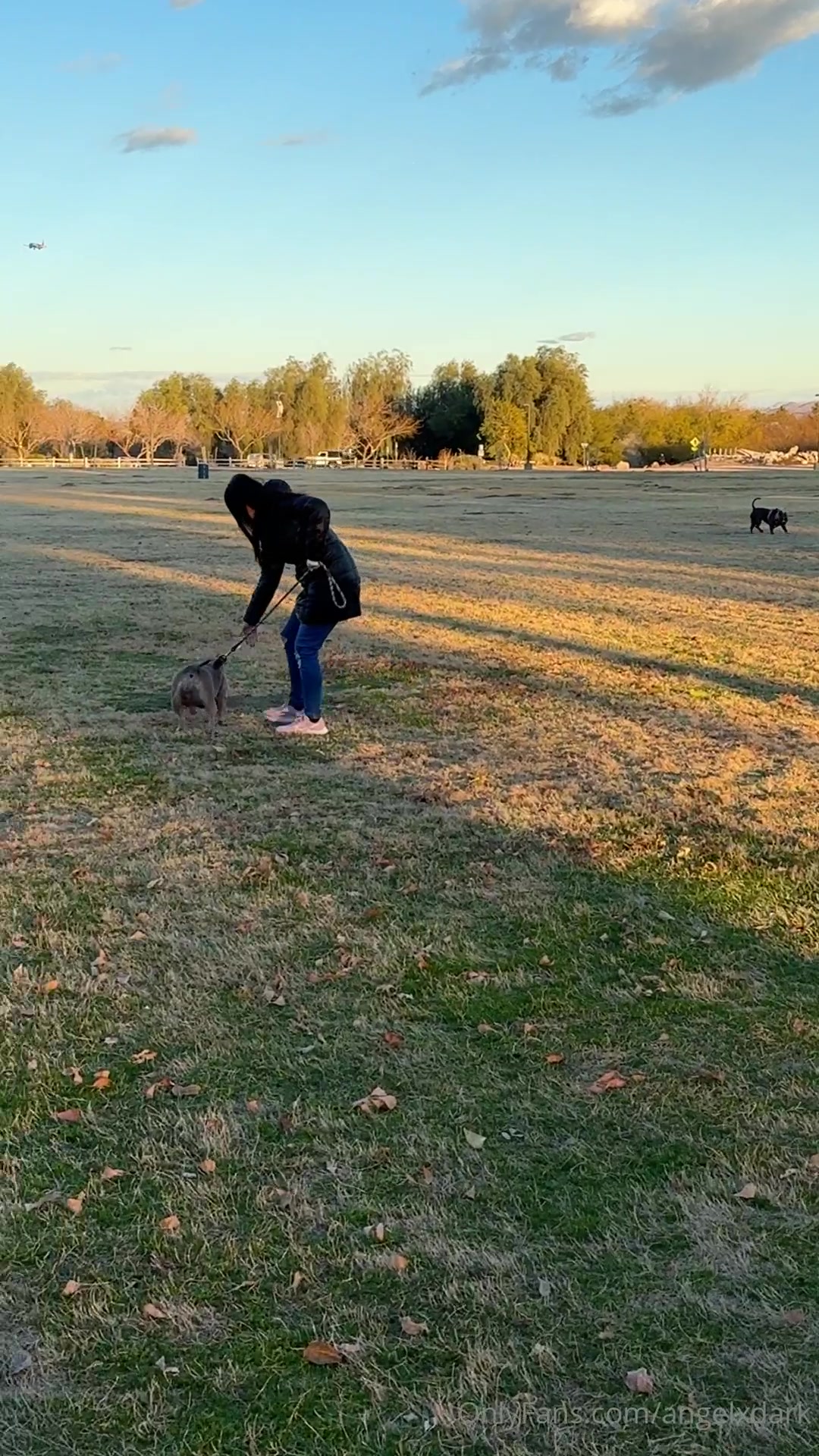 So On My Walk With @Jenniferdark, My Dog Decided To Take Her Sister And Me Out 1/4