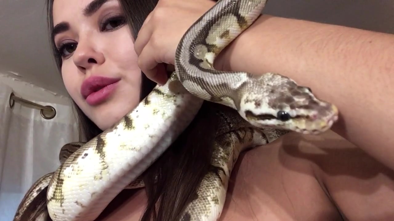 Xlimonade - 2018-10-12