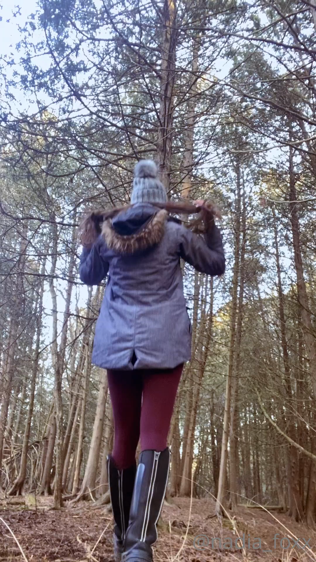 I Spy A Naughty Little Fox In The Woods