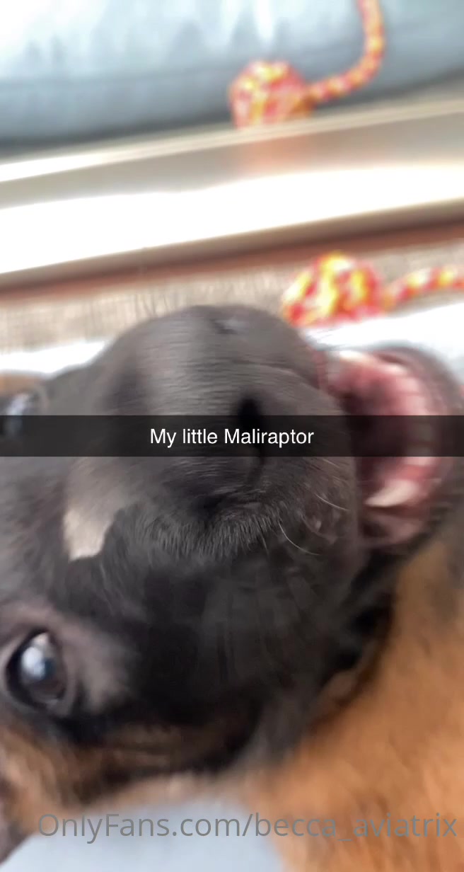 Hey Guys! I Recently Became A Dog Mom 4/5
