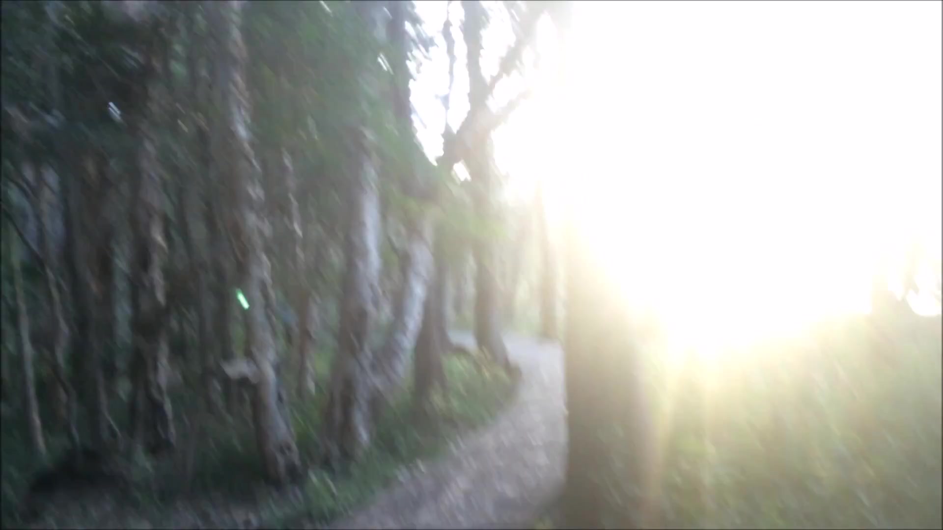 Almost Got Caught Jerking Off On A Public Walking Trail!