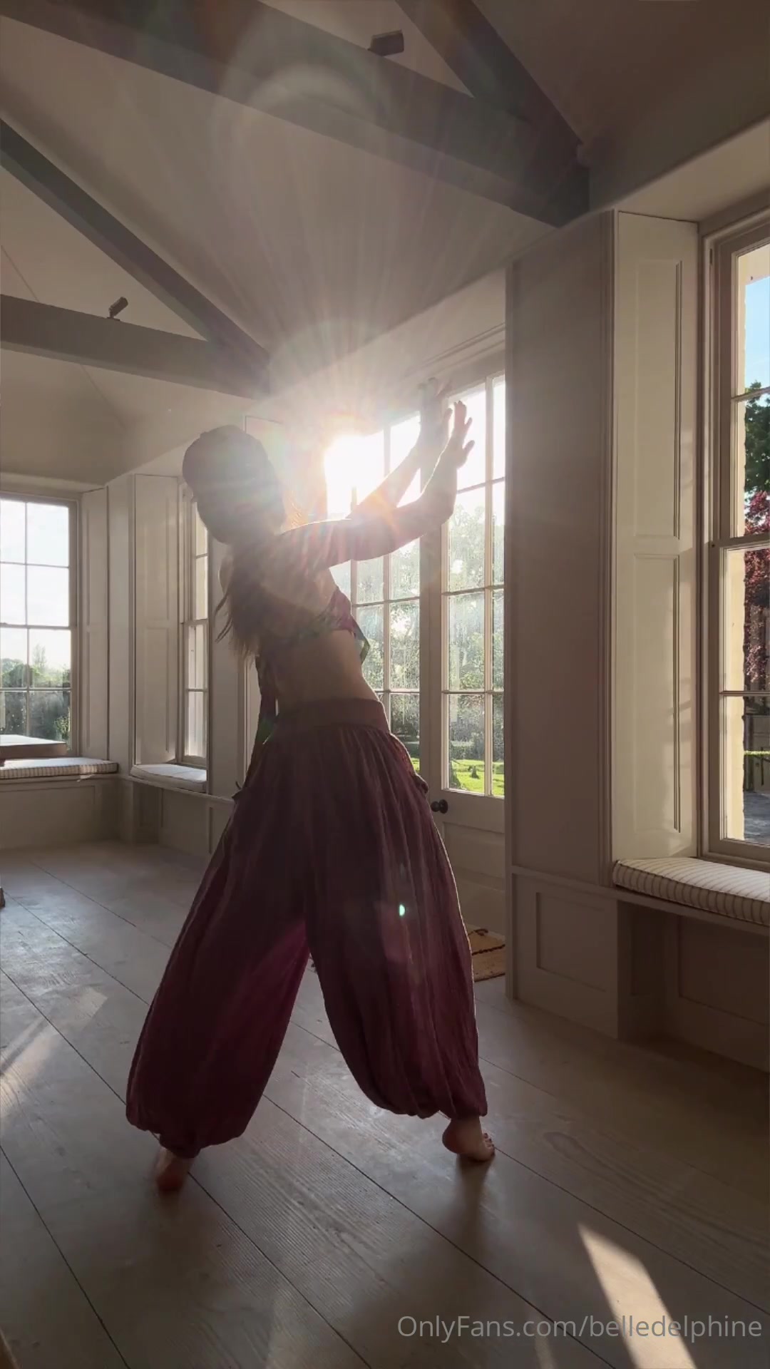 Silly Dancing Videos (6)