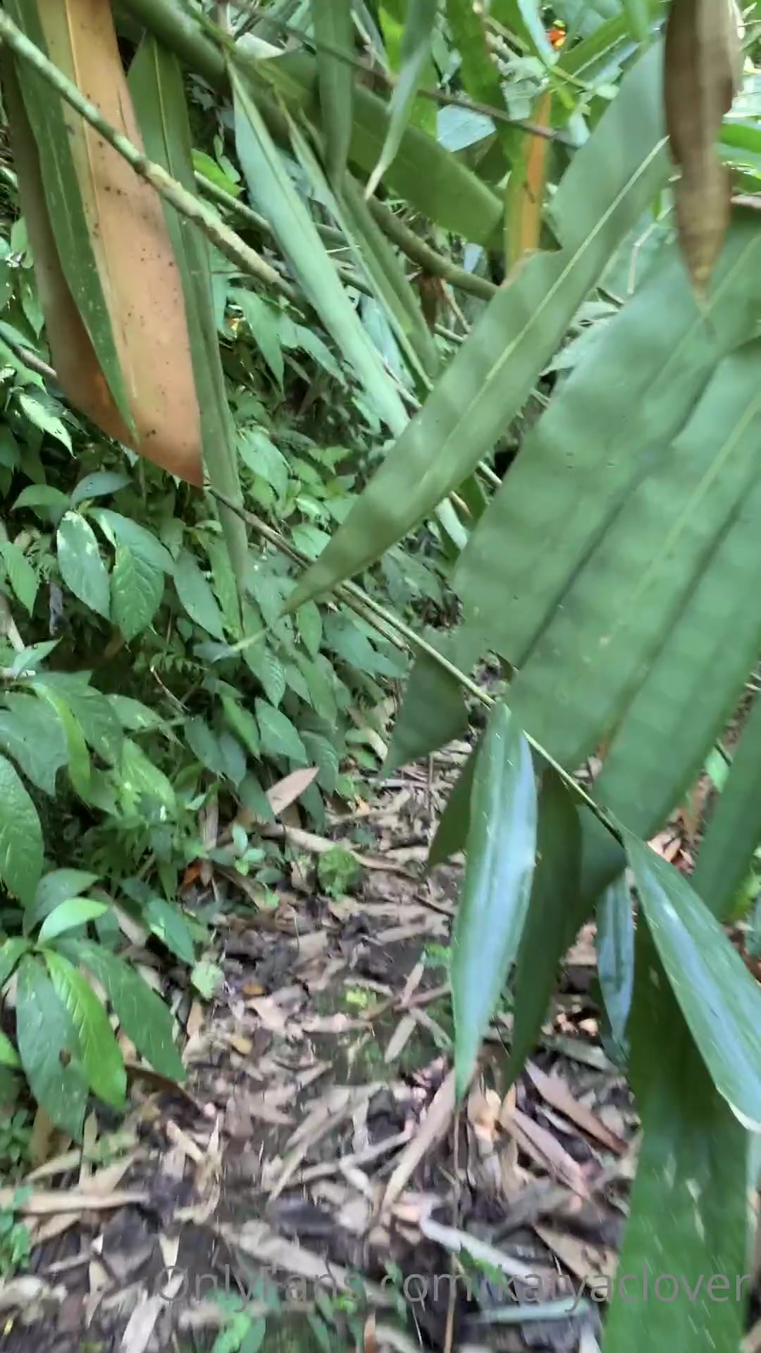 I Want To Share With You My Friends How I Spent A Weekend