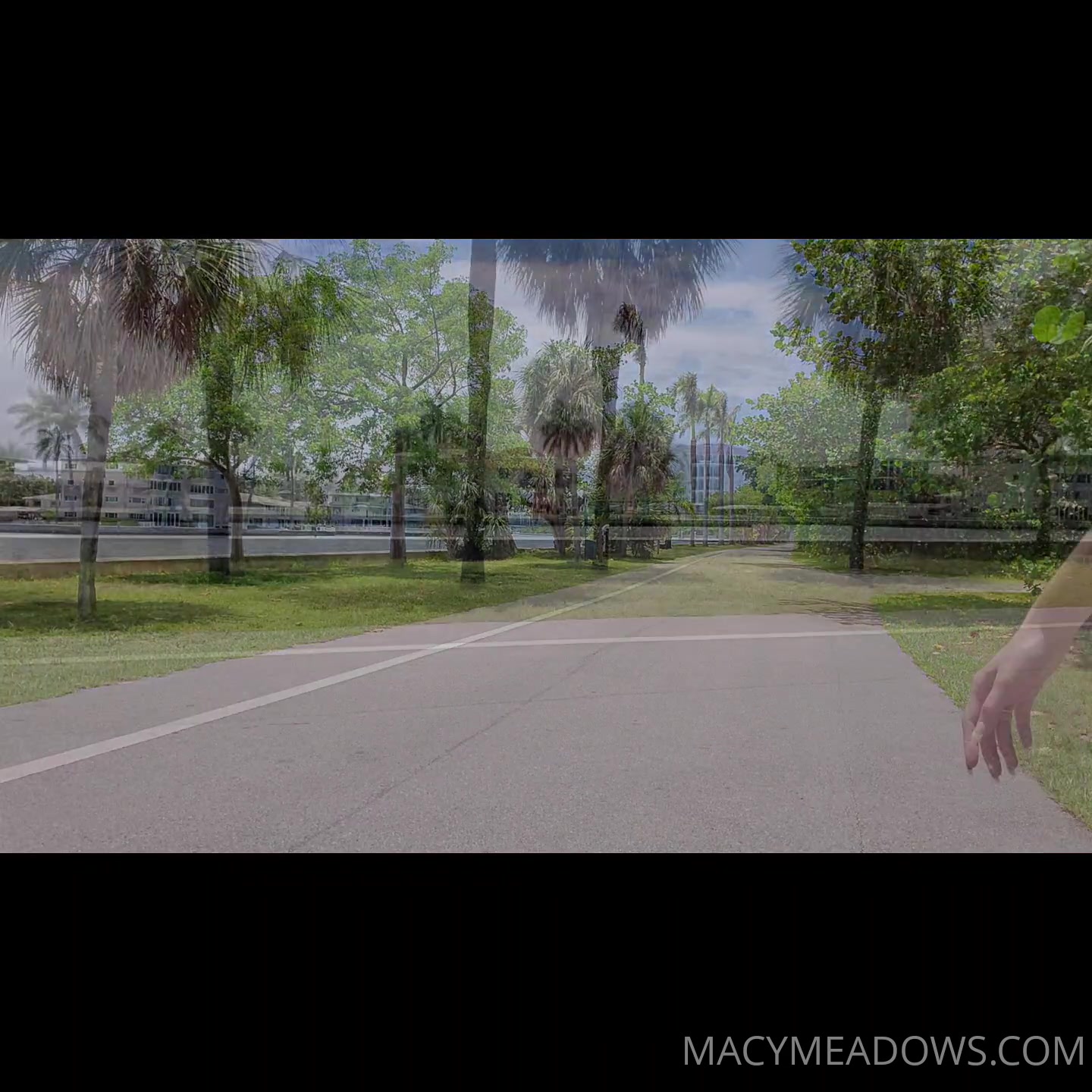 Longboarding In My Short Shorts (I Posted On Stories But I'm Proud Of My Video Skills)
