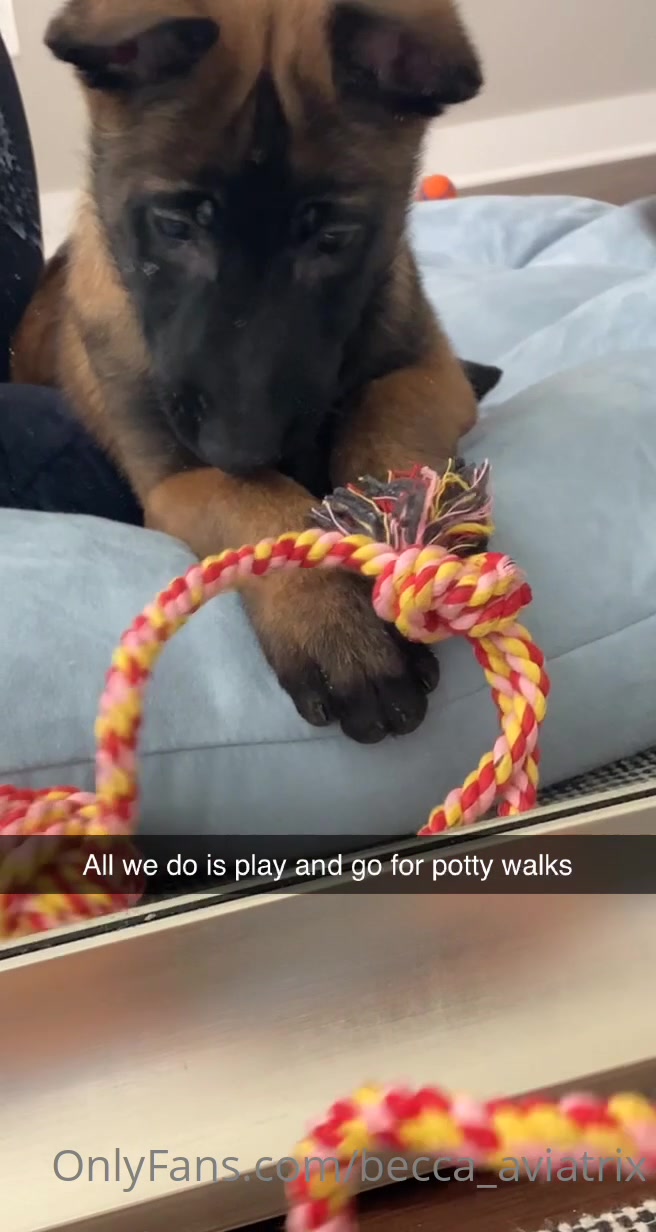 Hey Guys! I Recently Became A Dog Mom 3/5