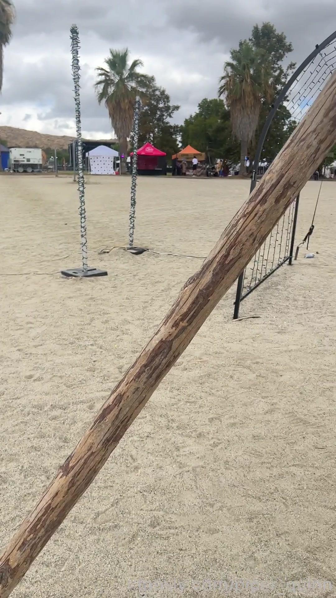 Happy Flashy Friday! 1/2