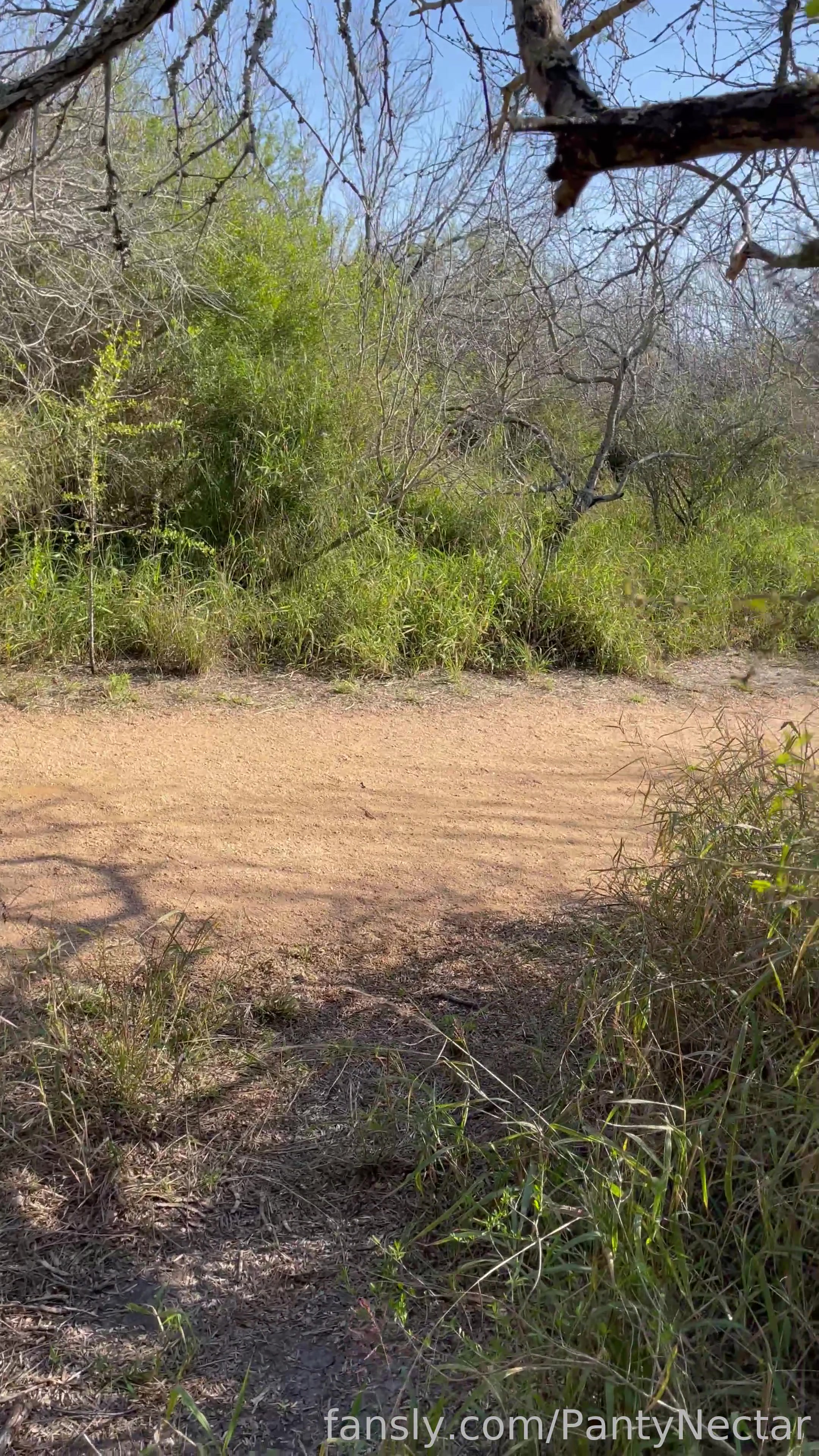 Suck N Fuck On A Public Trail