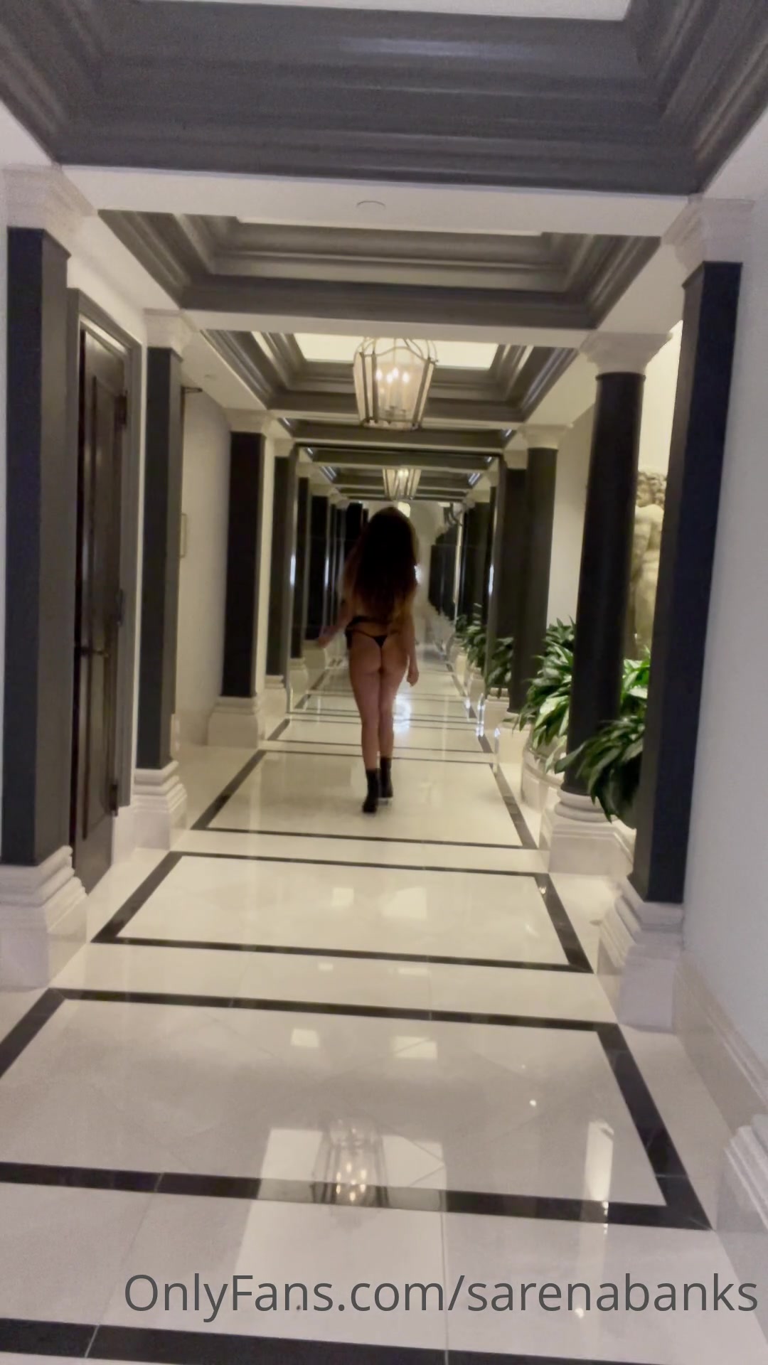 Do You Like My Little Cat Walk?